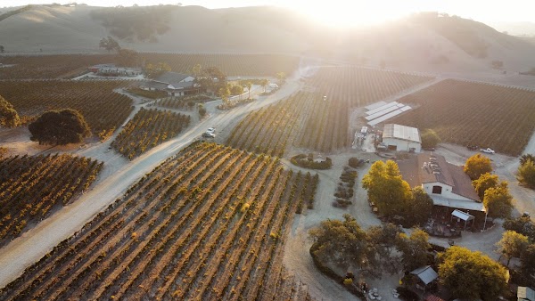 Cass Winery 1