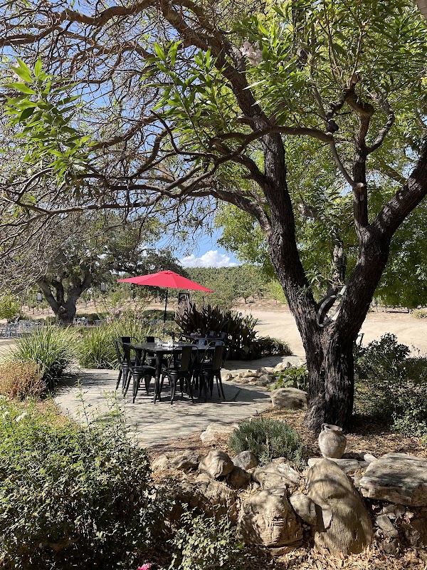 Cass Winery 4