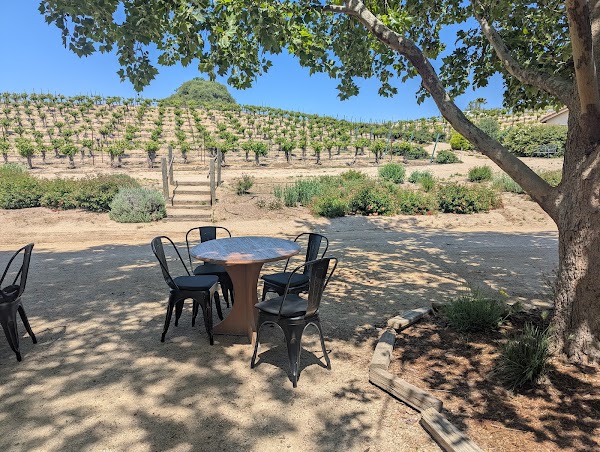 Cass Winery 2