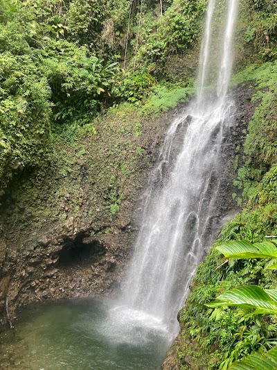 Middleham Falls Dominica