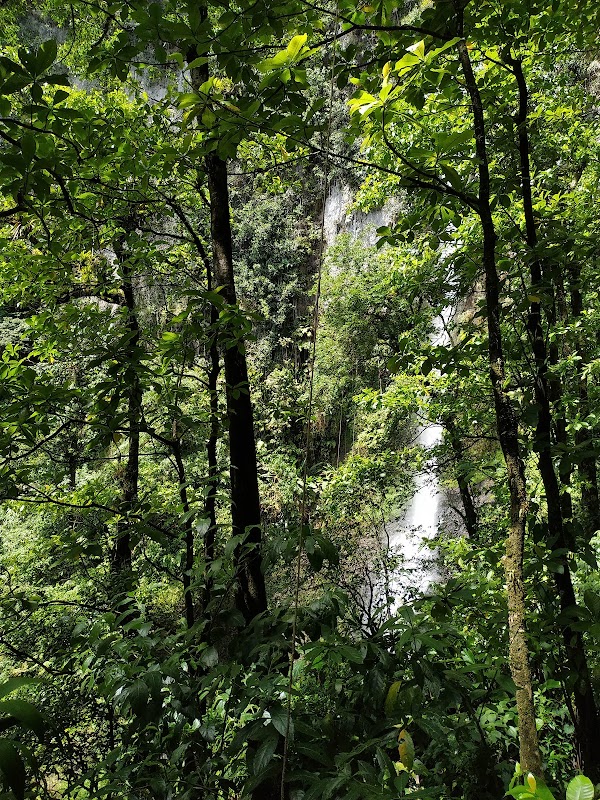 Middleham Falls Dominica 5