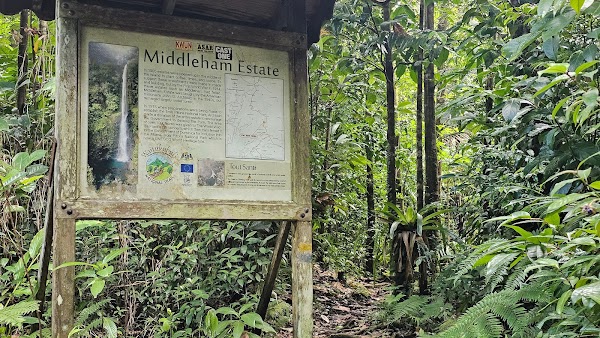 Middleham Falls Dominica 3
