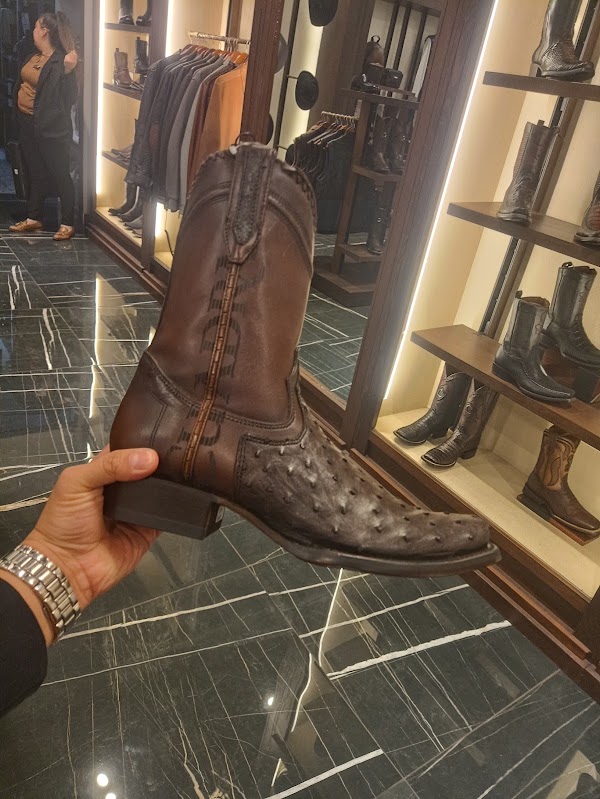 CUADRA 5