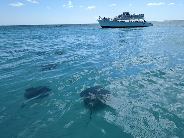 Cayman Islands 1
