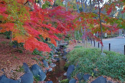 Momiji Waterfall 1