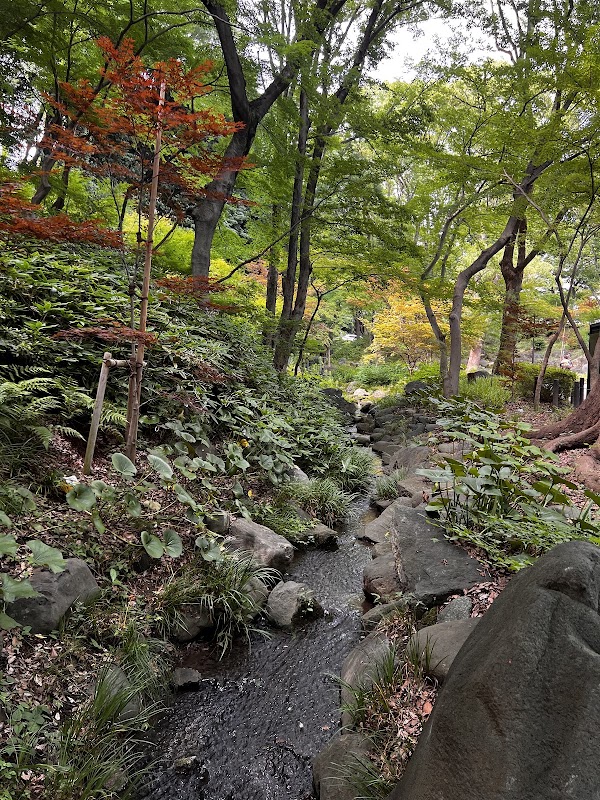 Momiji Waterfall 5