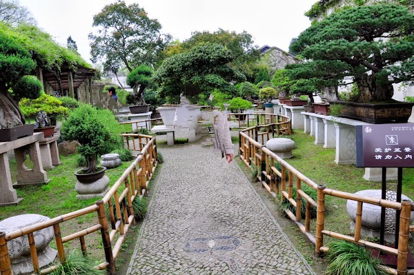 Classical Gardens of Suzhou 3