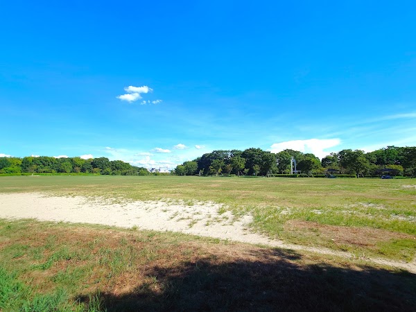 Lawn Field