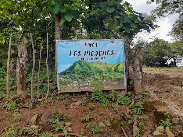 Los Picachos de Olá 5