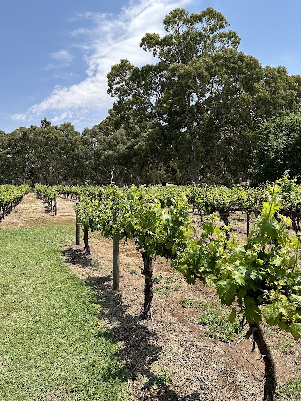 Clare Valley