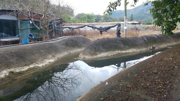 Shek Wu Wai 5