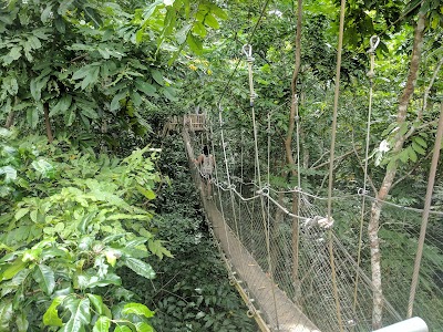 Falealupo Canopy Walkway