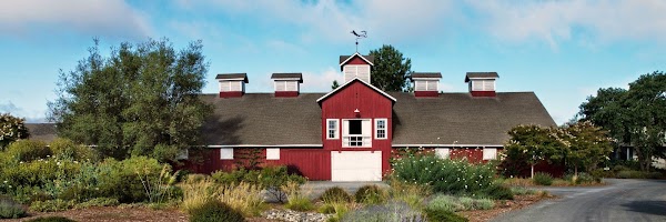Frog's Leap Winery 1