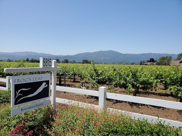 Frog's Leap Winery 5