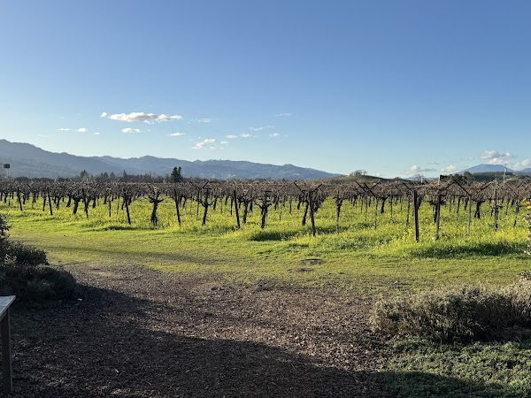 Frog's Leap Winery 3