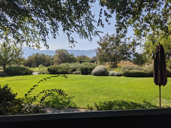Frog's Leap Winery 2