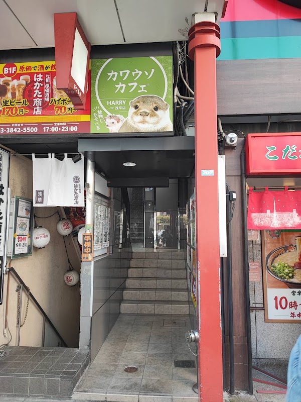 HARRY Asakusa