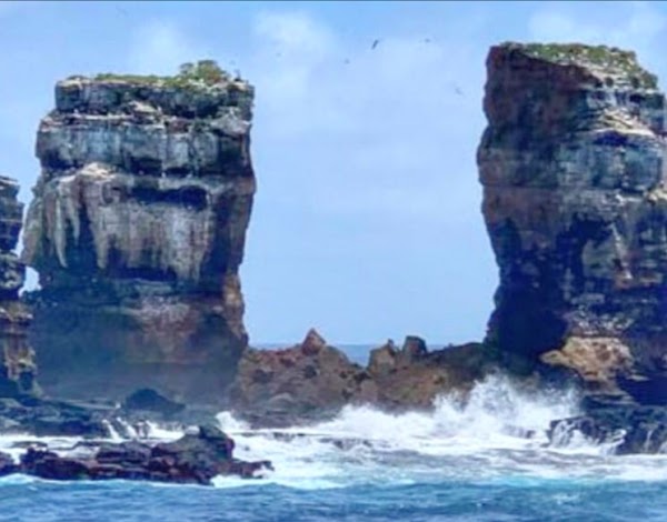 Darwin's Arch