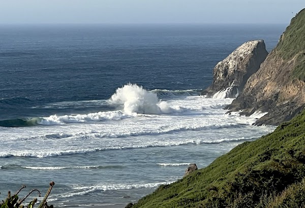 Oregon Coast Range 5