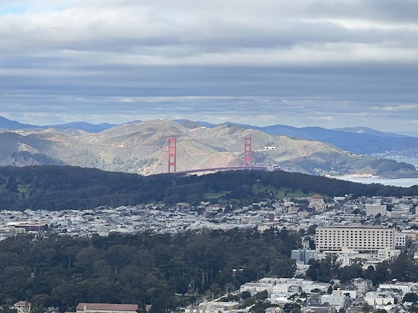 Christmas Tree Point 4