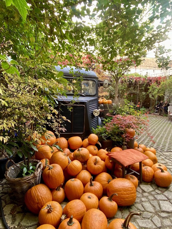 Botanica Coffee Truck 3