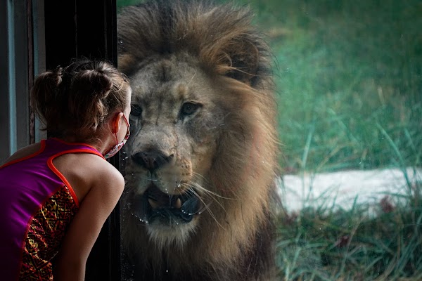 Binder Park Zoo 1