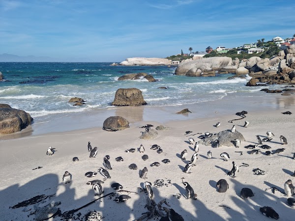 Boulders Beach