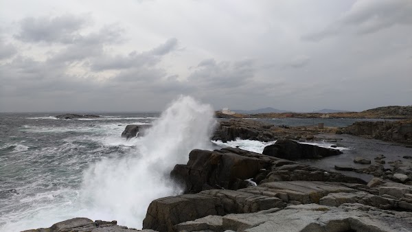 Fjøløy