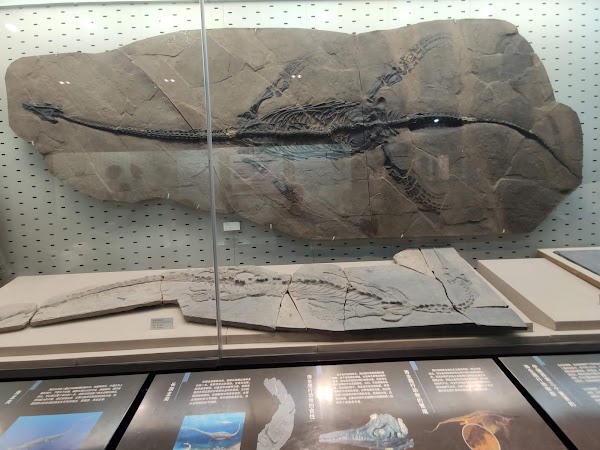Zhejiang Museum Wulin Branch 4