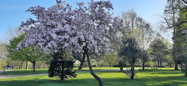 Finsbury Park 1