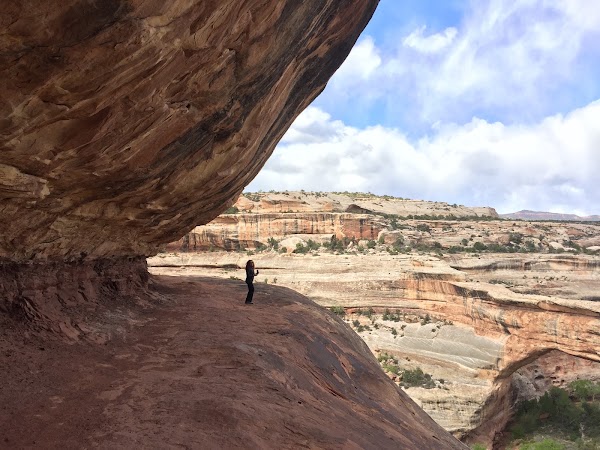 Natural Bridges National Monument 4