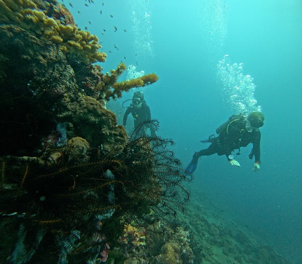 USAT Liberty Shipwreck