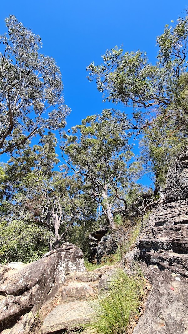 Bobbin Head Trail 3