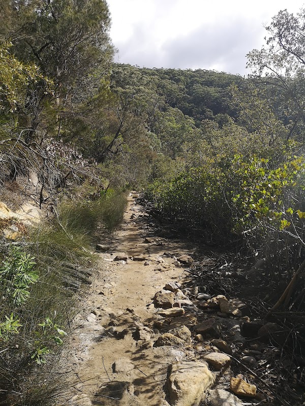 Bobbin Head Trail 2