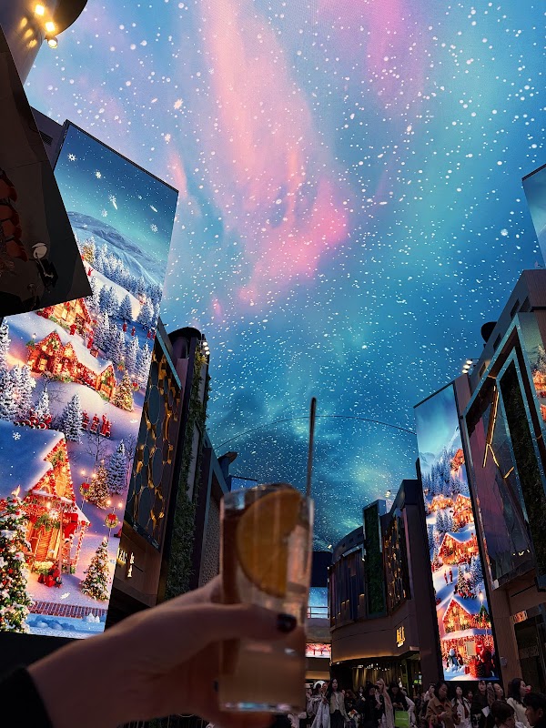 Aurora Bar 3