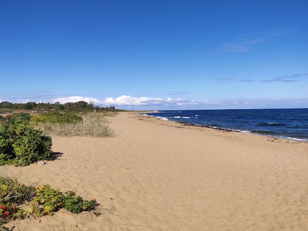 Dog beach
