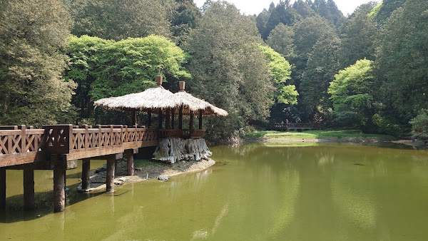 Alishan Township 1