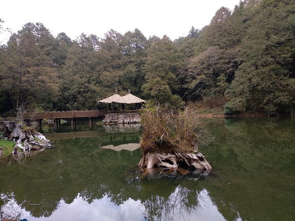 Alishan Township 5