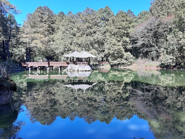 Alishan Township 4