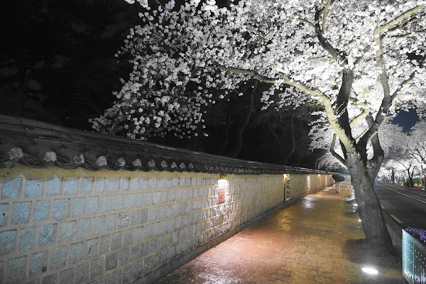 Daereungwon Doldam-gil (Stone Wall Road) 5
