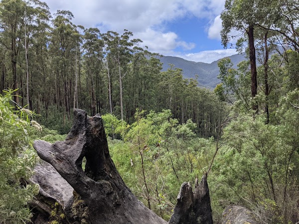 Lilly Pilly Gully Circuit