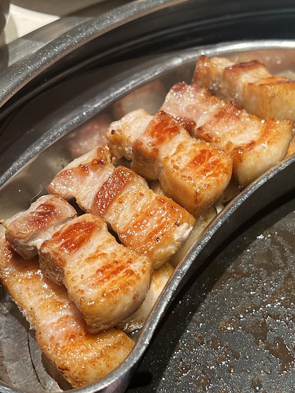 Dotgogi 506 5