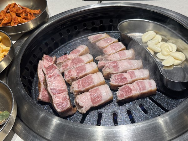 Dotgogi 506 4