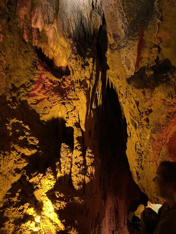 Coral Caverns 4