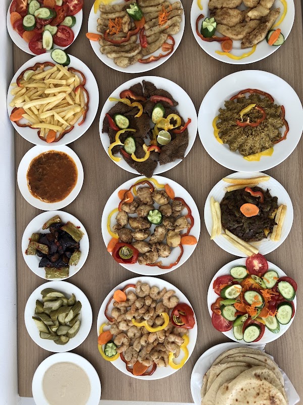El Sharkawy 3