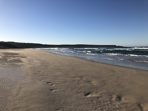 Foster Beach 1