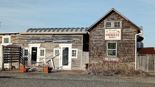 Viking Village 2