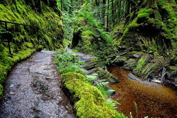 Puck's Glen