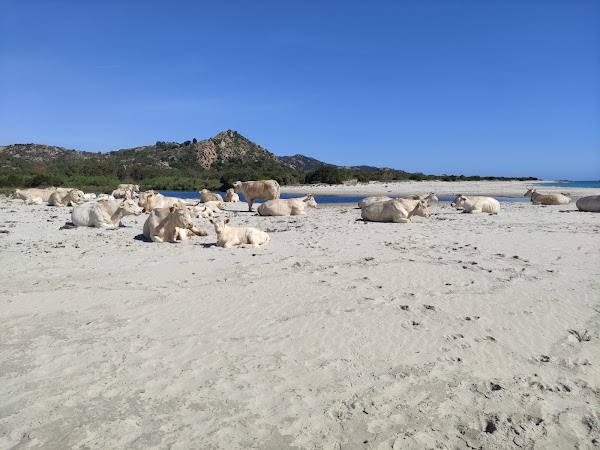 Bèrchida beach 2