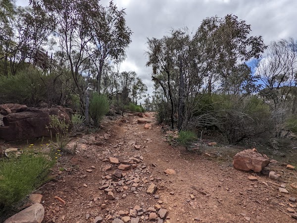 Arkaroo Rock Trail